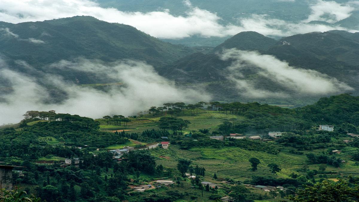 Dicas de reforma verde para pequenos ambientes